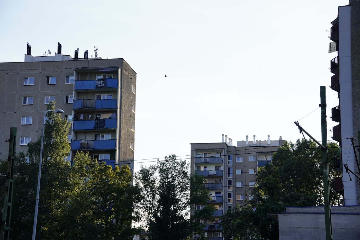 Cozy 1BR Apartment in Darmo